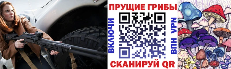 KRAKEN ONION  Буй  Псилоцибиновые грибы прущие грибы 