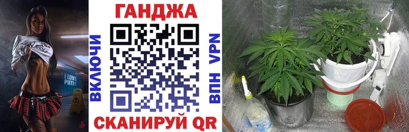 Бошки марихуана тримм  OMG   Буй 
